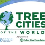 Tree-Cities